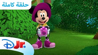 رحلة ميني إلى السفاري 🐆 | نادي ميكي ماوس المرح 🥳 | ديزني جونيور العربية