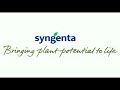 syngenta s 4001