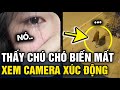 Sáng dậy phát hiện CHÚ CHÓ MẤT TÍCH, chủ xem camera thấy CẢNH TƯỢNG ĐAU LÒNG | Tin 3 Phút