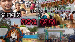 Makara Jatra Baghamari Arti Hot Springs !! Khordha !! Odiavlogkanha !!