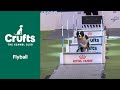 Flyball Team Final | Crufts 2022