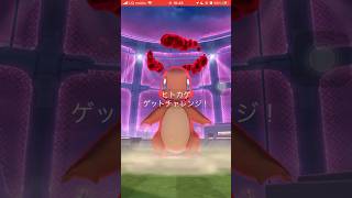 ポケモンGOマックスバトルヒトカゲゲットできたかな？　#ポケgo #pokemongo #ポケモンgo #pokemon #ポケゴー #ポケモン #ヒトカゲ  #shorts #short