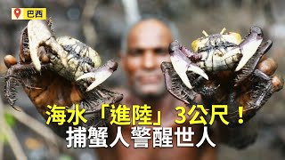 海水「進陸」3公尺！巴西捕蟹人警醒世人【大千世界】氣候變遷｜全球暖化