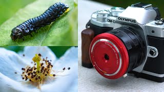 Create Stunning Macro Photos with a Micro Four Thirds Macro Tube!