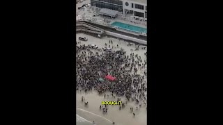 After weekend chaos in Daytona Beach, Volusia County sheriff urges event promoter to stop