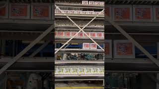 Palletizer full box vertical accumulation by @packlinetech #agriculturetechnology