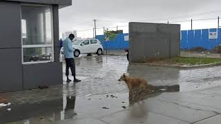 semmancherry nukampalam road | rain fall timing | housing board Near