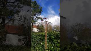 Fabriquer une éolienne maison/How to make a windturbine at home ?