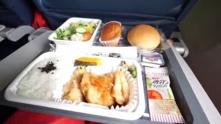 【デルタ航空 エコノミークラス搭乗記】 Delta Airlines 167 B767-300ER Tokyo-Taipei