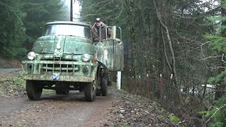 1955 Dodge COE Truck Rescued From Forest (CTR-227)