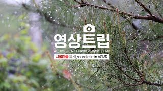 [어느 시골마을의 봄비_Sound of rain ASMR] : : 감성여행×현실사운드 '자연의소리'