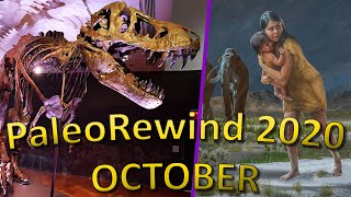 PaleoRewind 2020 - October - T. rex Auction, Prehistoric Human's Journey \u0026 More