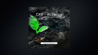 ckb - Accents (James Reid remix)