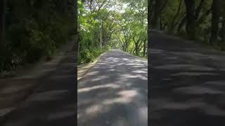 আমাদের পাবনা (ভি-৪৭)। #youtubeshorts #nature  #viral