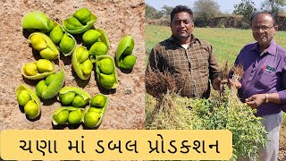 ચણા માં ડબલ પ્રોડકશન l Double Production in Gram l Nitesh Tank