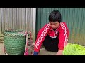 the orphan boy picking cabbage and green vegetables to sell the old lady cut thanh s hair short.