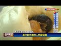 肉包店在地飄香80年 代代傳承好味道－民視新聞