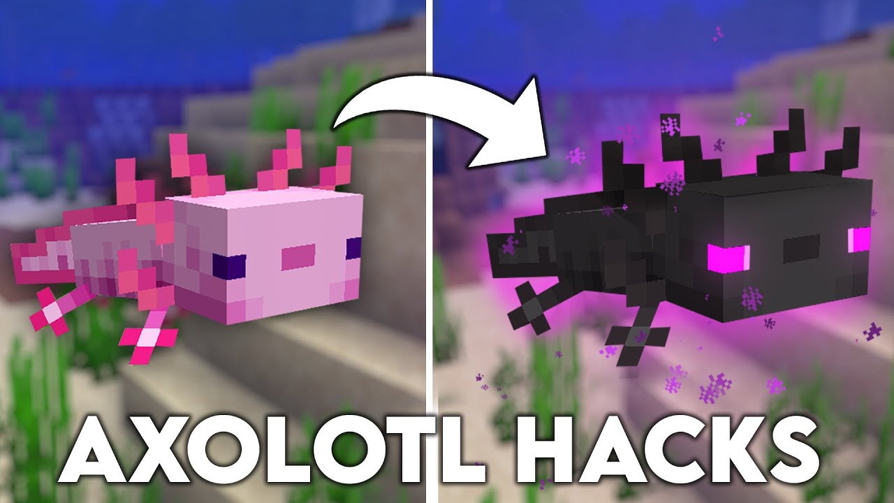 Minecraft: Things You Might Not Know About The Axolotl - YouTube