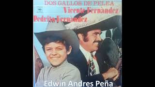 Dos Gallos De Pelea Vicente Fernandez Y Pedrito Fernández