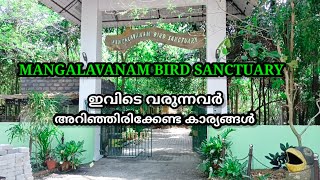 Mangalavanam Bird sanctuary/Near Kochi/Tourist place in kochi