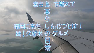 【島暮らしvlog】暮らし|vlog|旅に出よう|福岡|久留米|グルメ|久留米に来た本当の理由　#56