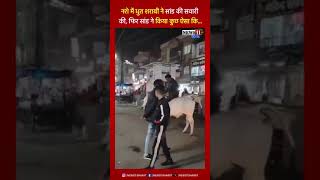 शराबी ने की सांड की सवारी, सांड ने उतार दिया नशा और दिलचस्प वीडियो हुआ वायरल!