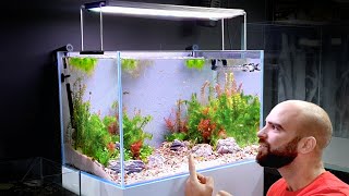 Aquascape Tutorial: NATURAL Style GUPPY Aquarium w/ Garden Dirt (How To: Full Step By Step Guide)