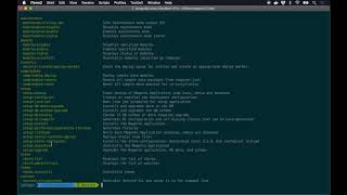 Dockergento magento console usage