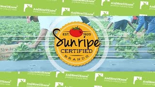 AndNowUKnow - Sunripe CEO Jon Esformes Discusses Social Responsibility and New Initiatives