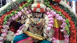 ஸ்ரீவில்லிபுத்தூர் பெரிய மாரியம்மன் பூக்குழி 5ஆம் திருவிழா  #srivilliputhur Fifth day festival