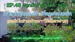 EP 48 ปลูกผักง่ายๆสไตล์ลุงปั่น ดูแลผักในช่วงฤดูหนาวง่ายๆ#ปลูกผักกินเอง @ลุงปั่น-ลูกอีสานหลานย่าโม