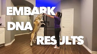 EMBARK DNA TEST RESULTS FOR OUR WOLF DOG | The Wolf Pack