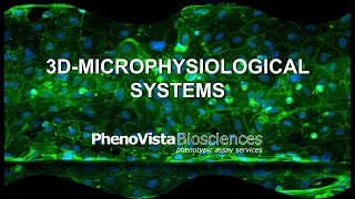 3D-Microphysiological Systems