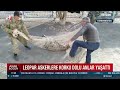 askerlere leopar şoku bir anda ağlardan kurtulup saldırdı a haber