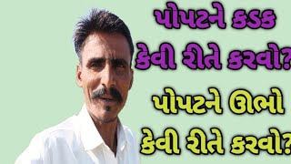 પોપટને કડક કેવી રીતે કરવો?