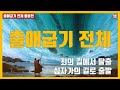 [자막]출애굽기 전체 풀버전 #하마성경  [정은수TV]