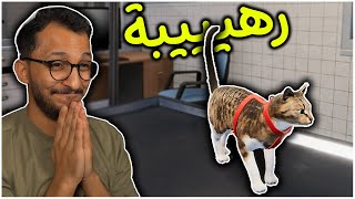 ملجأ الحيوانات | معالجة القطة كيتي! Animal Shelter Simulator