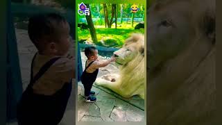 Cute Baby Playing With Lion 👌/Cute Baby status /Baby status 2023 #shorts #short #viral #Cute #baby