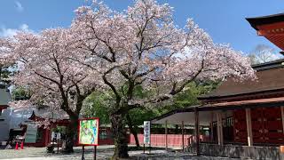 Fujisan Hongu Sengen Shrine