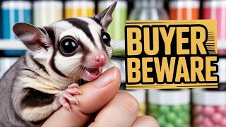 The Truth About Sugar Gliders Pets | Sugar Glider Facts