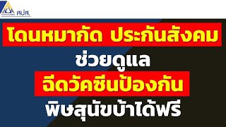 โดนหมากัด ประกันสังคมช่วยดูแล ฉีดวัคซีนป้องกันพิษสุนัขบ้าได้ฟรี | ข่าวสารประกันสังคม