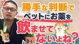 ワンちゃんネコさんへの勝手な投薬ほど危ないものはない！？ 鹿野酒造株式会社『常きげん』を飲みながら(^^♪