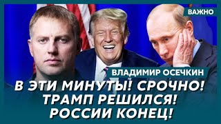 Осечкин о том, почему Трамп разлюбил Маска