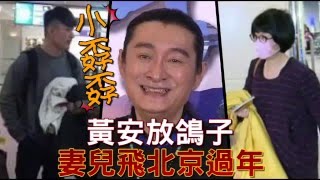 小孬孬 黃安放鴿子 妻兒飛北京過年--蘋果日報20160205