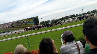 2019年菊花賞（京都競馬場）