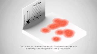 Bose-Einstein condensation