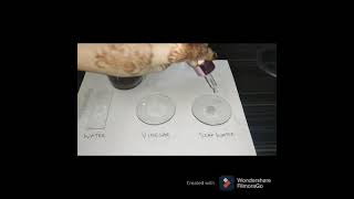 Demonstration of hibiscus as a natural indicator| How to make pH  indicator using hibiscus flower?