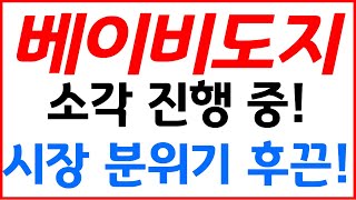 [베이비도지💰💎 상장? 소각? 폭등? 긴급 점검! 💎💰