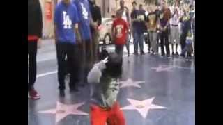 4-Year-Old Chinese Boy, Yiming Wang (Morning Baby), Dances to Michael Jackson on Hollywood Boulevard