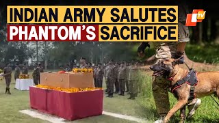 Wreath Laying Ceremony For Indian Army Dog Phantom, Who Lost Life During An Operation